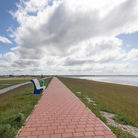Direkt Am Deich - Ferienwohnung Amrum Im Gaestehaus Am Badedeich Dagebüll 外观 照片